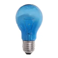 Gloeilamp 230 Volt E 27 daglicht 100 watt